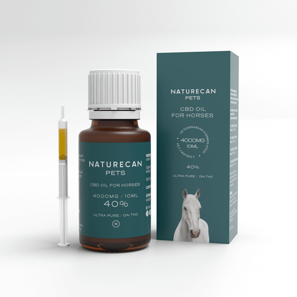 CBD Oil for Horses น้ำมัน CBD สำหรับม้า