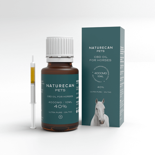CBD Oil for Horses น้ำมัน CBD สำหรับม้า
