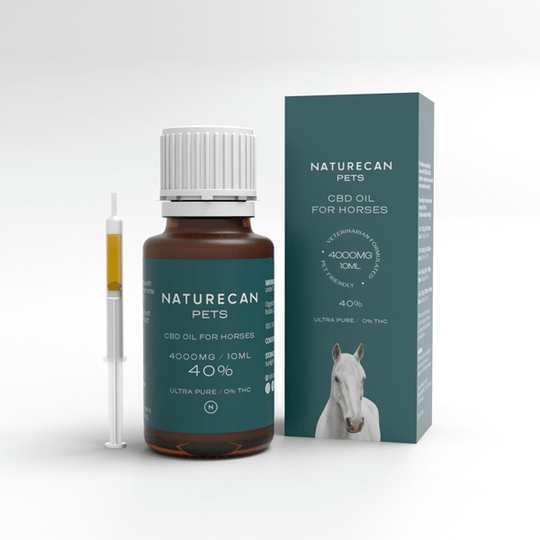 CBD Oil for Horses น้ำมัน CBD สำหรับม้า