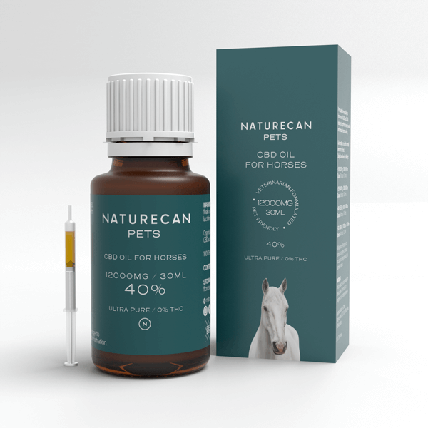 CBD Oil for Horses น้ำมัน CBD สำหรับม้า