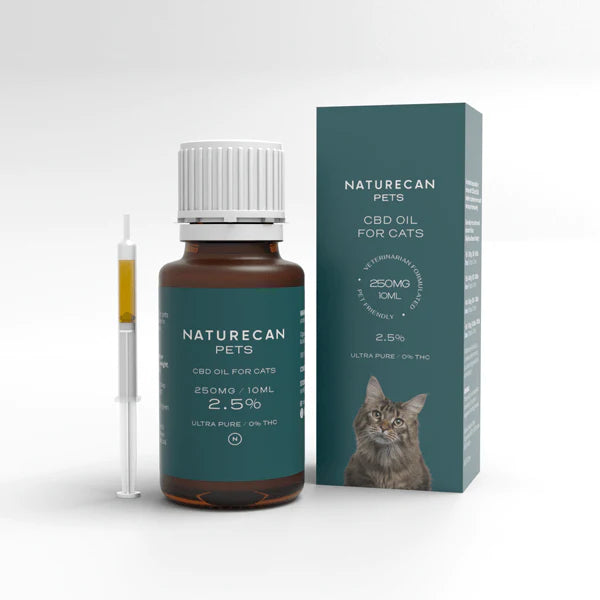 CBD Oil for Cats น้ำมัน CBD สำหรับแมว