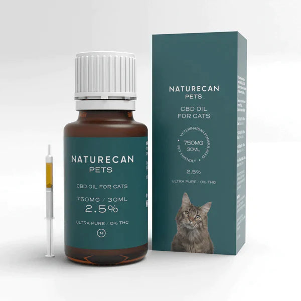 CBD Oil for Cats น้ำมัน CBD สำหรับแมว