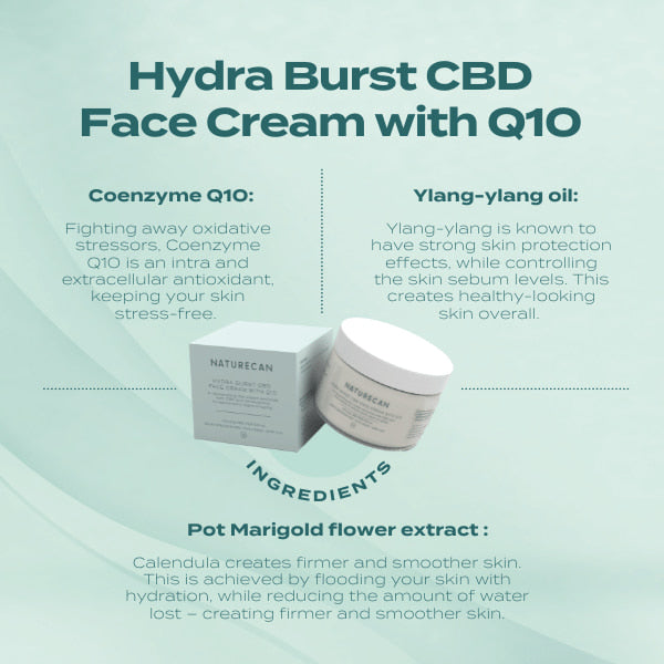 Hydra Burst CBD Face Cream with Q10 (มอยเจอร์ไรเซอร์ CBD และ คิว 10)